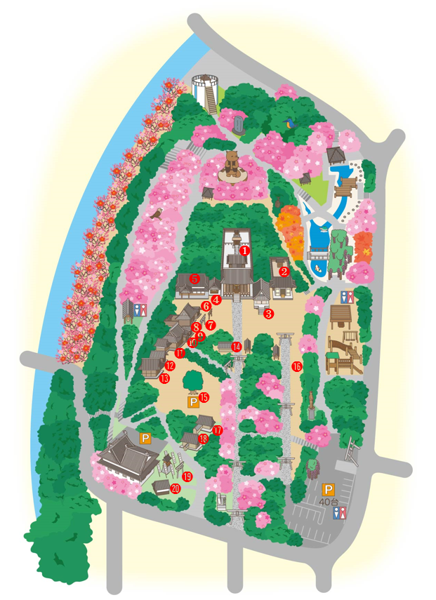 セクション画像